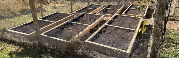 Build Lasting Eco-Friendly Raised Garden Beds